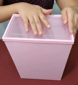 Plastic Shoe Storage Boxes (4 Colors)