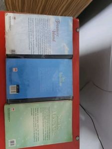 Classic Novels Collection