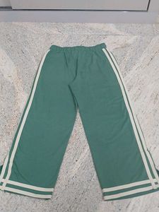 Roadster Comfortable Green Sweatpants