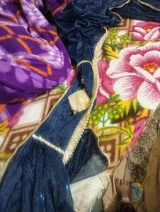 Elegant Embellished saree