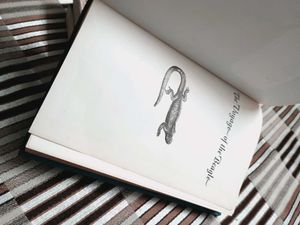 Voyage of the Beagle by Charles Darwi