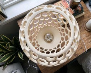 Custom Sculptural Voronoi Projection Lamp