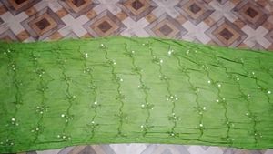 Embellished Green Dupatta