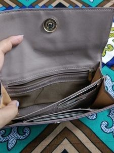 baggit  Wallet sling bag