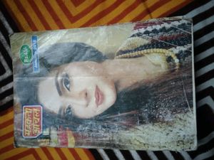 mahakata aanchal noval
