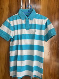 Indian terrain Striped Polo T-Shirt- medium size