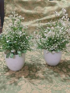 Artificial Flower Plants