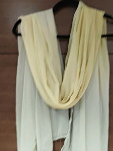 Sheer Ombre Dupatta -set of 2