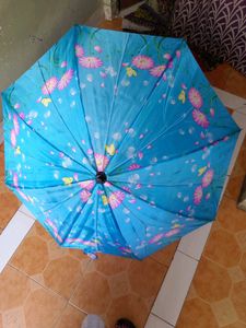2 Color Umbrella