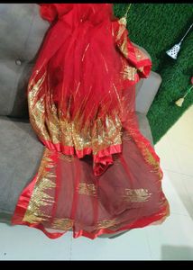 Red Saree with Gold Embellishments