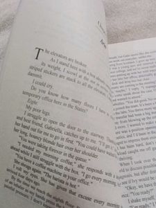 Psychotic Obsession Novel