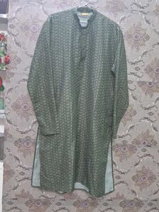 Stylish Green Printed Kurta