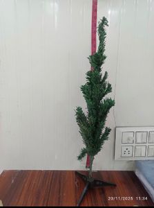 Cristmas Tree Without Decoration