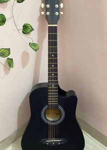 Acoustic Guitar