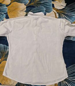 Classic White Shirt