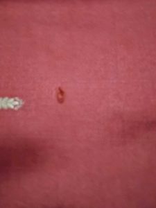 A Good Saree With Small Flaws