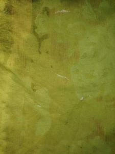 Vibrant Lime Green Dupatta