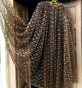 A Golden Fancy Shiny Net Morden Saree