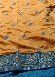Designer saree and blouse