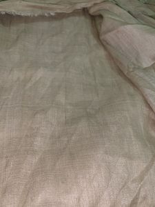 Elegant Cream Saree