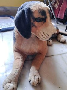 Realistic Tiger And Dog Dolls 🤩