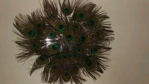 Wall Decorating Peace With Peacock Feather