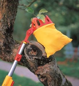 Fruit Picker Tool with Collection Bag