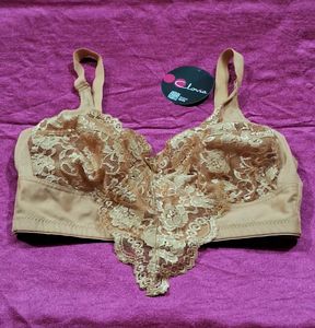 Clovia Bra Size 34F