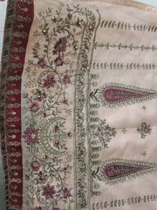 Pakistani Organza Stitched Suit With Shantoon Lini