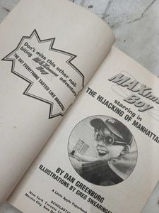 Maximum Boy: The Hijacking of Manhattan