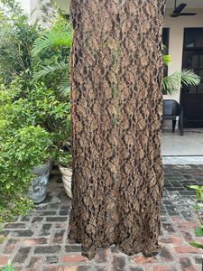 Lace Maxi Dress