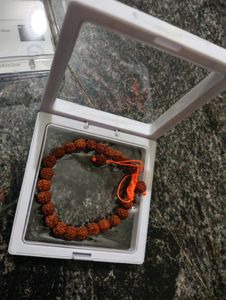 Natural Rudraksha bracelet