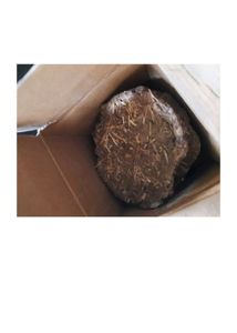 Cow Dung
