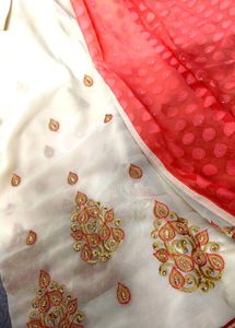 Beautiful Chiffon 2 Shade Saree