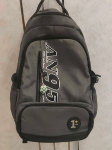 Stylish Grey Backpack