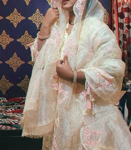 Elegant Embroidered Salwar Kameez