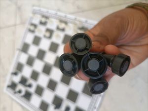 Chess Toy