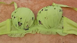 Floral Embroidered Bra