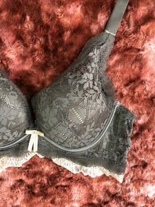 Elegant Lace Bra