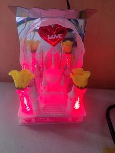 Lamp- Combo
