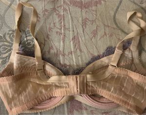 Sheer Lace Bow Bra