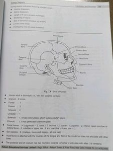 Aakash Zoology &amp; Botany Class XI Books