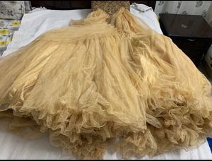 Frontier FairyTale/Princess Designer Gown