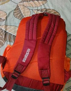 American Tourister Backpack