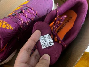 Adidas Purple MEN non marking / badminton shoe