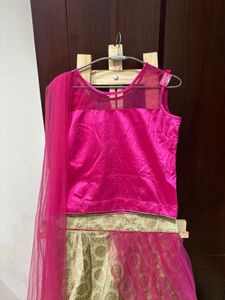 Brand New Designer Lehenga Choli
