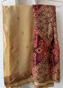 dark cream saree with beautiful India bordering