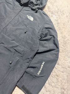 The north face jacket