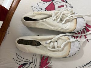 Lakhanis Casual Canvas Shoes