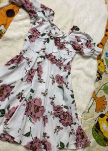Floral Print Skater Dress